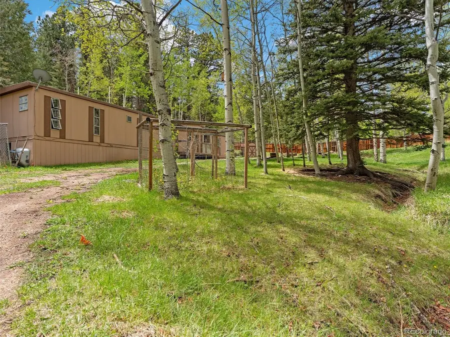 714 N Pine Drive, Bailey, CO 80421 - #2