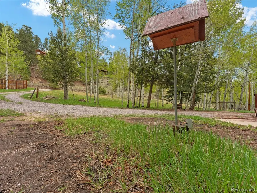 714 N Pine Drive, Bailey, CO 80421 - #3