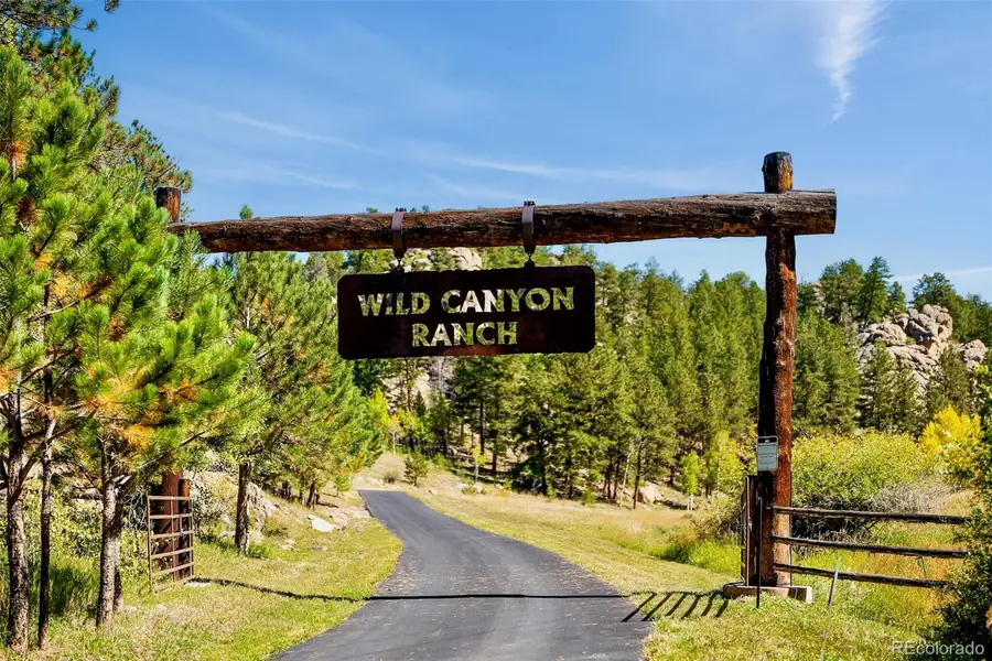 37392 County Road 77, Lake George, CO 80827 - #2