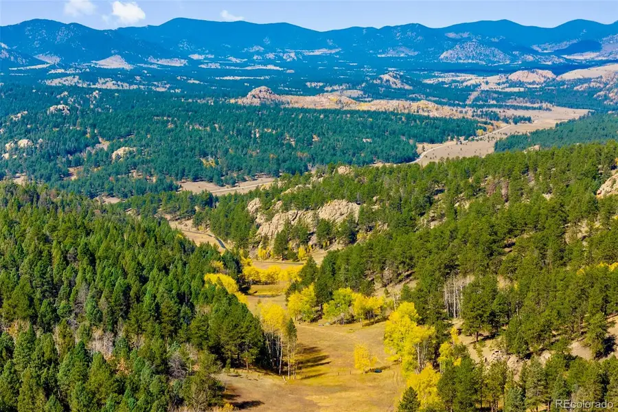 37392 County Road 77, Lake George, CO 80827 - #3