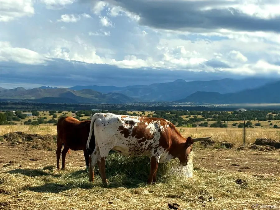 8650 State Highway 67, Florence, CO 81226 - #2