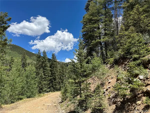 6622 Clinton Road, Fort Garland, CO 81133