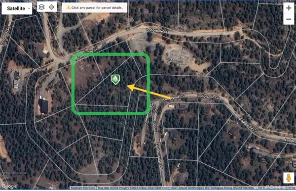 32724 Lodgepole Circle, Evergreen, CO 80439