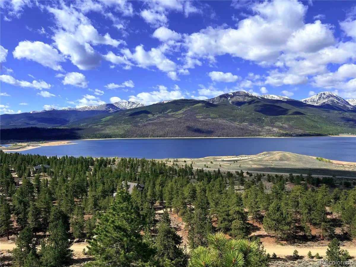 10007 Ross Drive, Twin Lakes, CO 81251 - #1