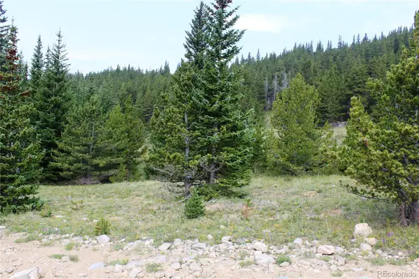 13620 Independence, Idaho Springs, CO 80461