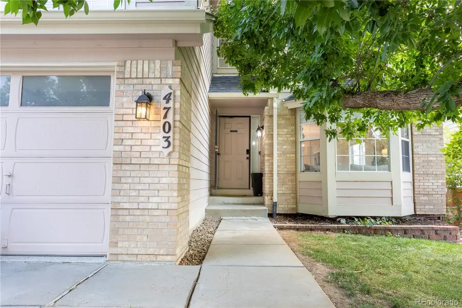 4703 N Wildflowers Way, Castle Rock, CO 80109 - #3