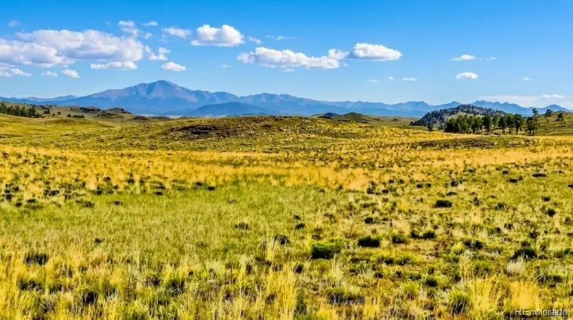 123 Shawnee Trail, Hartsel, CO 80449 - #1