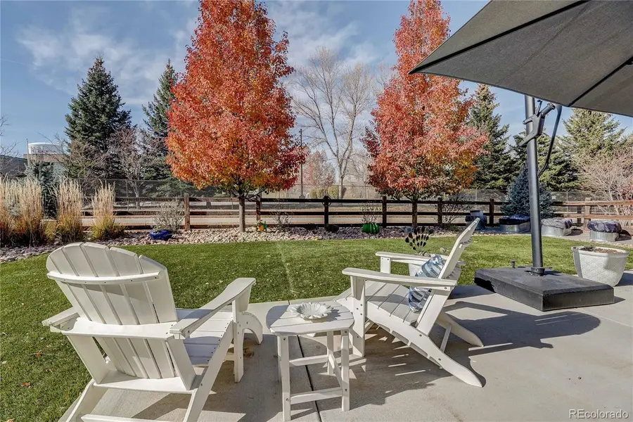 1032 Marfell Street, Erie, CO 80516 - #3