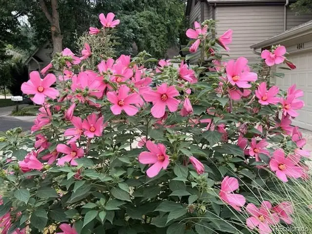 4945 Tesla Circle, Boulder, CO 80301 - Image #2