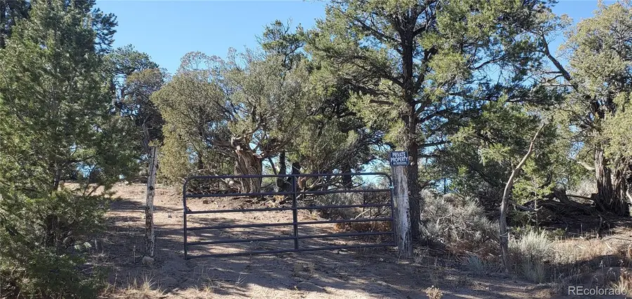 Lot 7356 Bidwell Road, Fort Garland, CO 81133 - Image #2