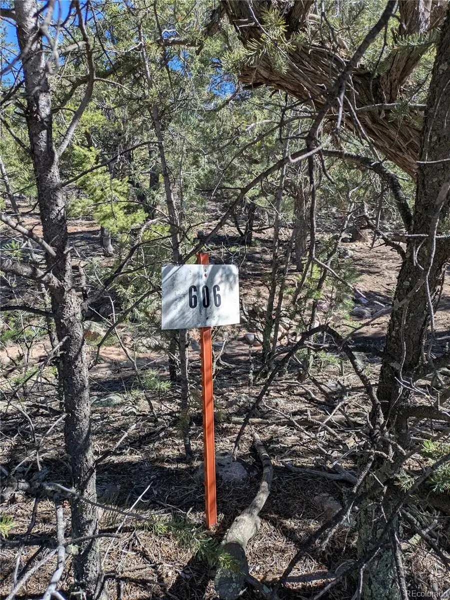 606 Peaceful Overlook, Crestone, CO 81131 - #2