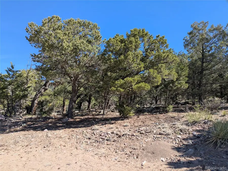 606 Peaceful Overlook, Crestone, CO 81131 - #3