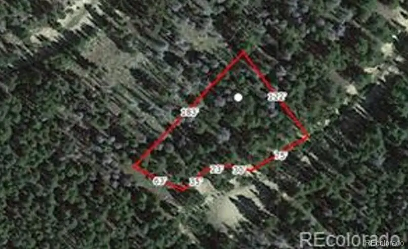 LOT 406 Glory Hole Road, Idaho Springs, CO 80452 - #3