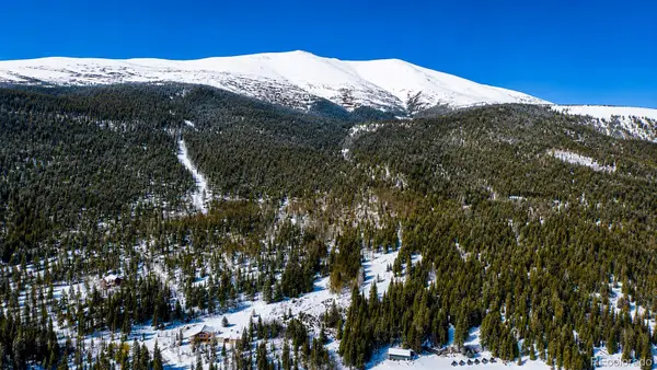 940 Lewsader Road, Alma, CO 80420