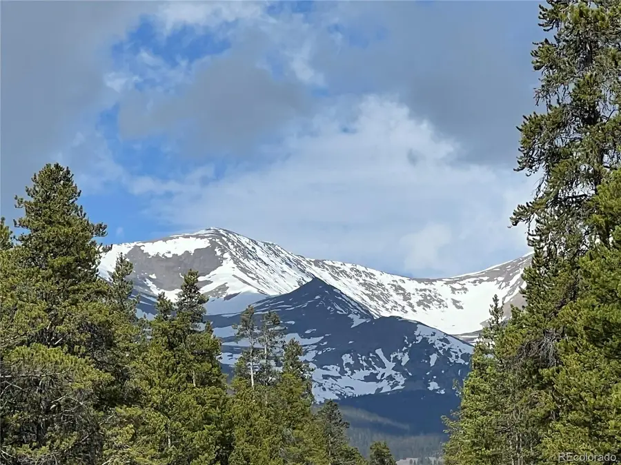 160 Birch Drive, Twin Lakes, CO 81251 - #3