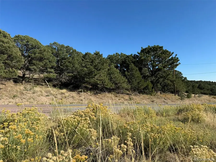 Lot 48,49 Copper Gultch, Cotopaxi, CO 81223 - #3