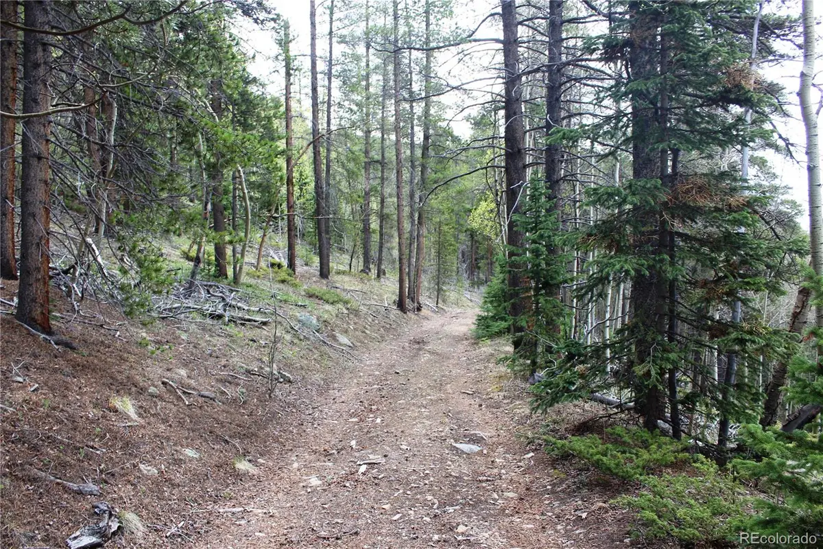 00 Broomfield Gulch Road, Black Hawk, CO 80422 - #1