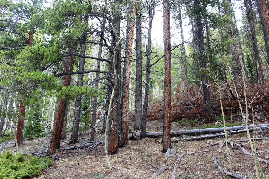 00 Broomfield Gulch Road, Black Hawk, CO 80422 - #3
