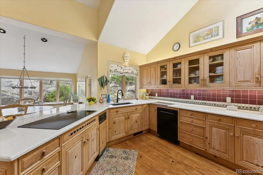 2611 Fox Acres Drive Drive E, Red Feather Lakes, CO 80545 - #3