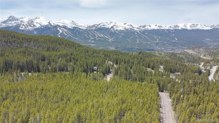 0064 Cr 534, Breckenridge, CO 80424 - #2