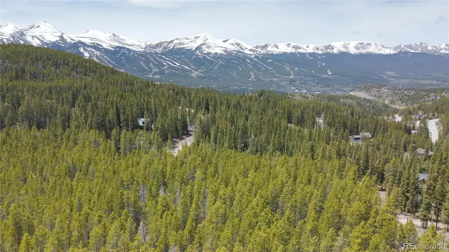 0064 Cr 534, Breckenridge, CO 80424 - #3