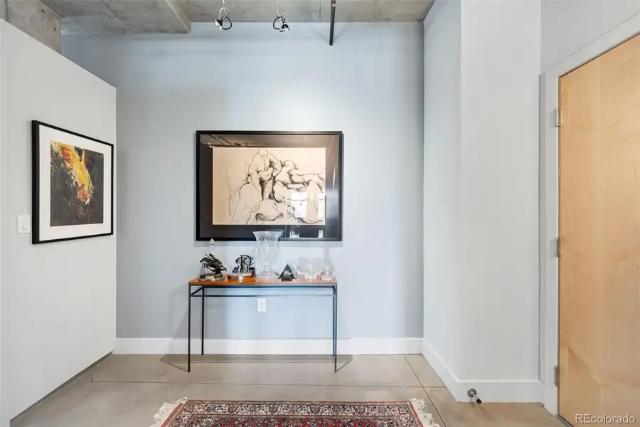 1610 Little Raven Street #301, Denver, CO 80202 - #3