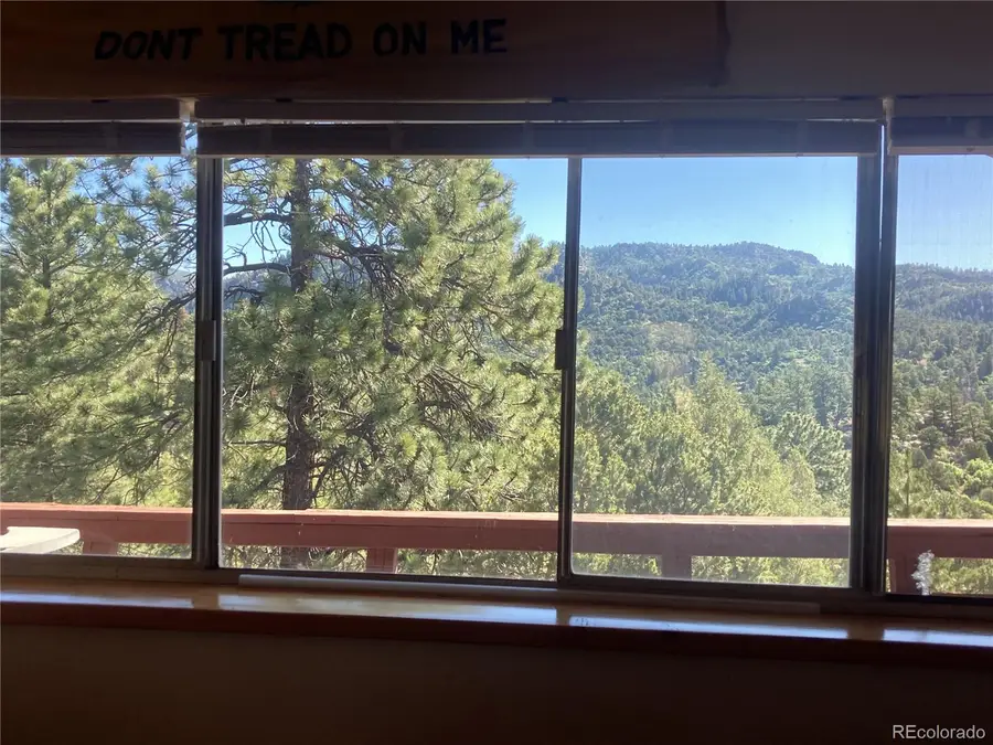 136 Burnt Timber Circle, Cotopaxi, CO 81223 - #2