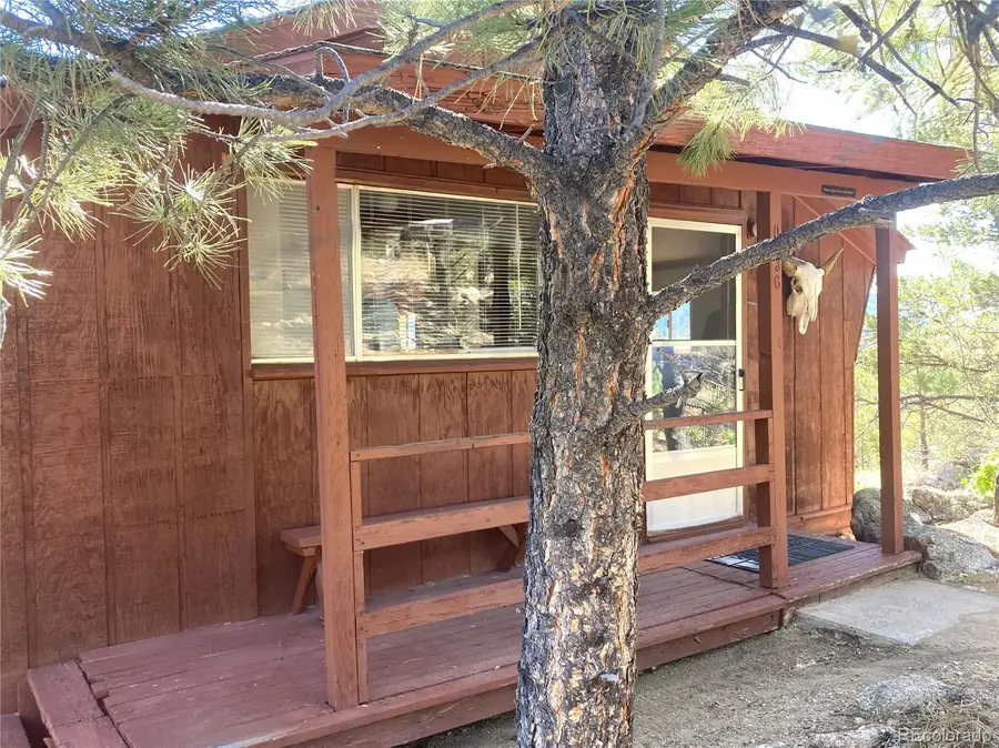 136 Burnt Timber Circle, Cotopaxi, CO 81223 - #3