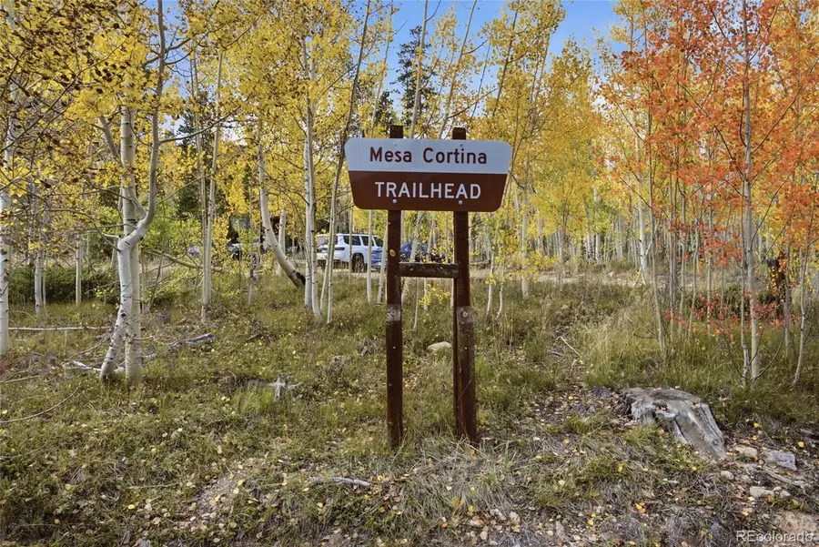 596 Aspen, Silverthorne, CO 80498 - #3
