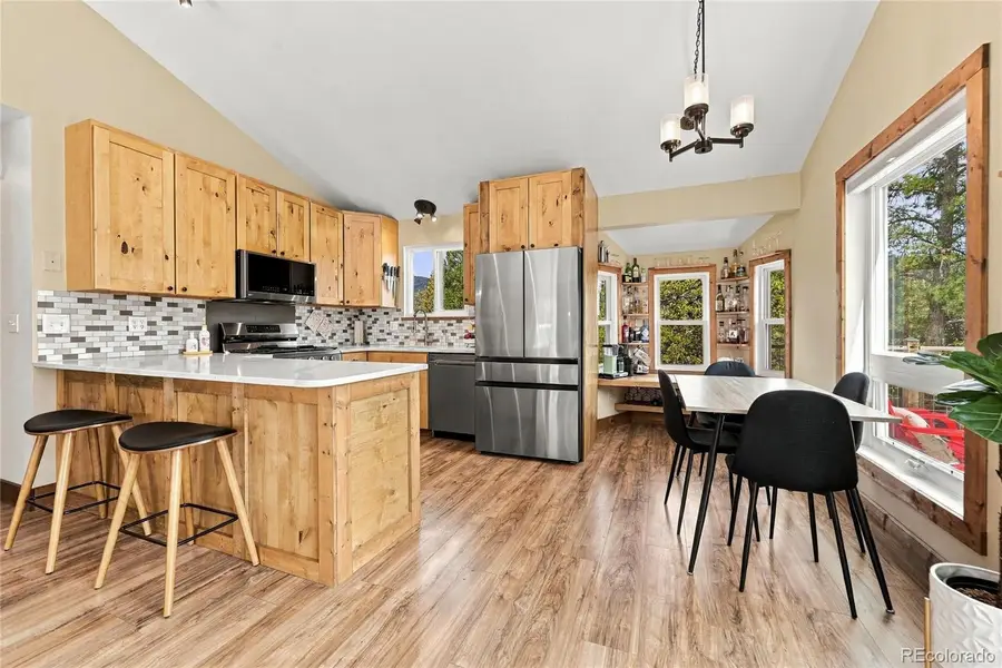 33165 Diana, Pine, CO 80470 - #3