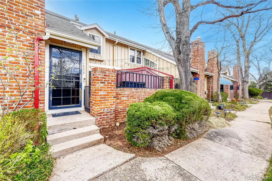 11603 Elk Head Range Road, Littleton, CO 80127 - #3