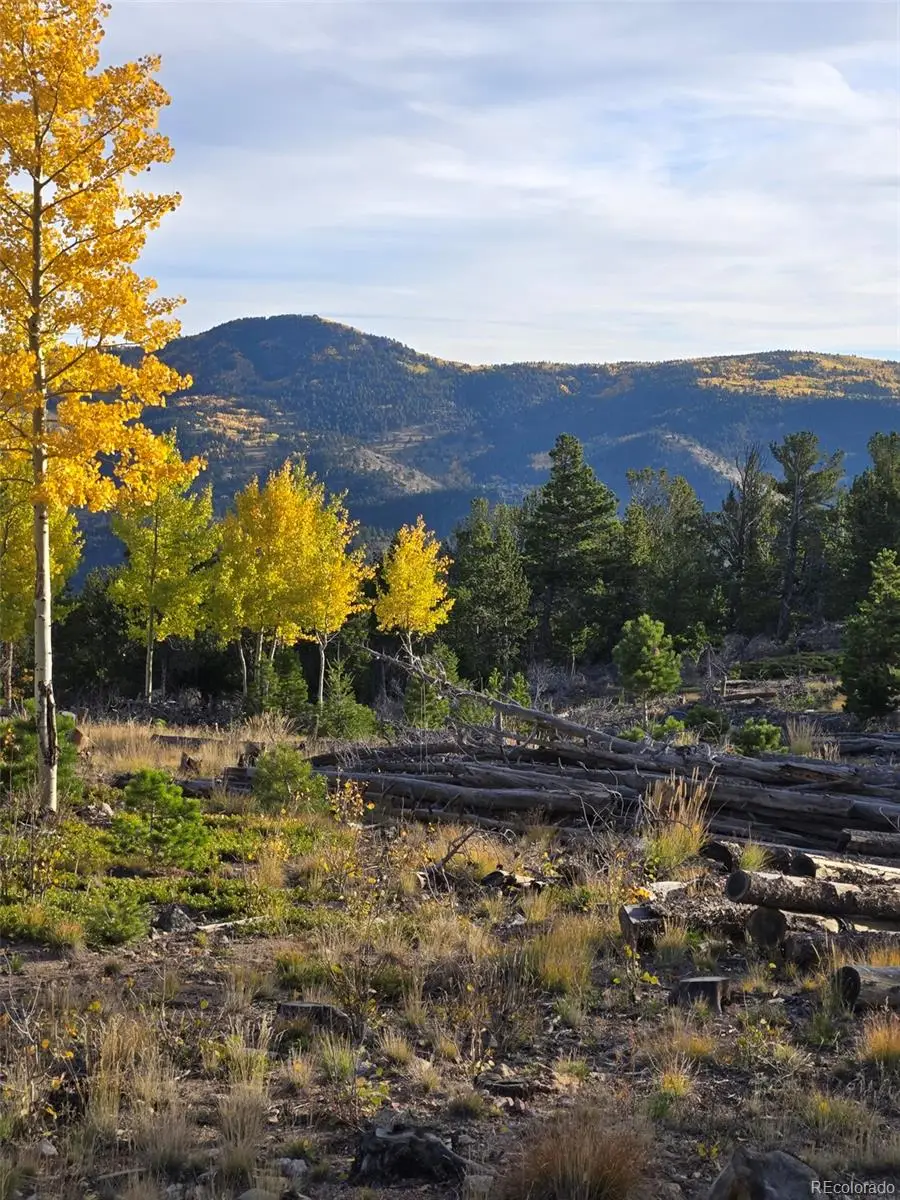000 Frank C, Idaho Springs, CO 80452 - #3