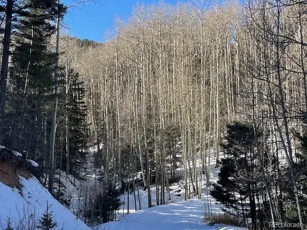 Lot 5252 Scott Road, Fort Garland, CO 81133