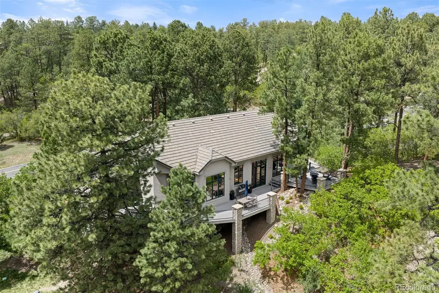 4502 Prospect Drive, Castle Rock, CO 80108 - #3