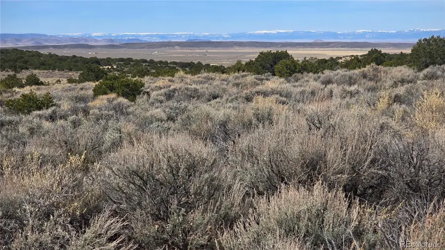 Lot 1075 Sylvia Road, Fort Garland, CO 81133 - #3