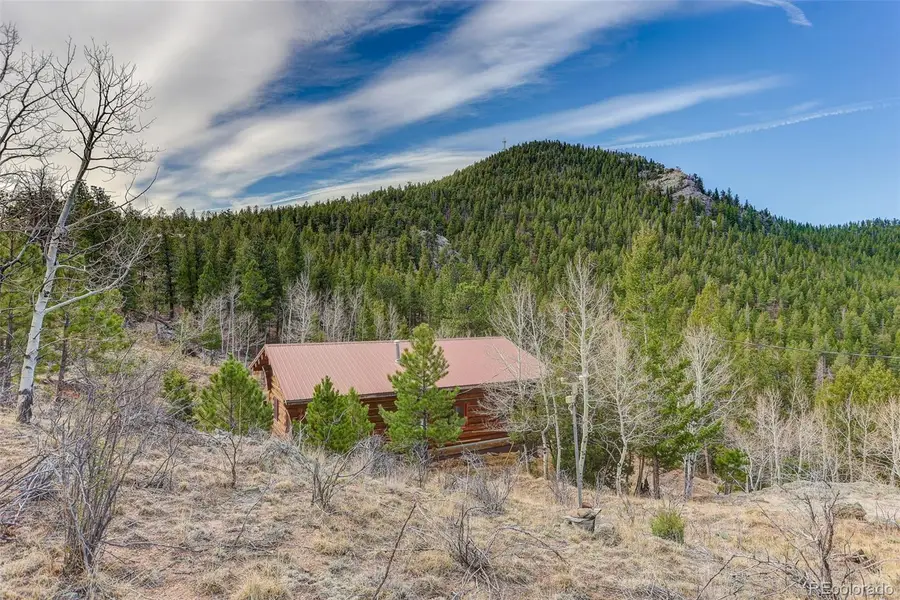 626 Aspen Lane, Bailey, CO 80421 - #3
