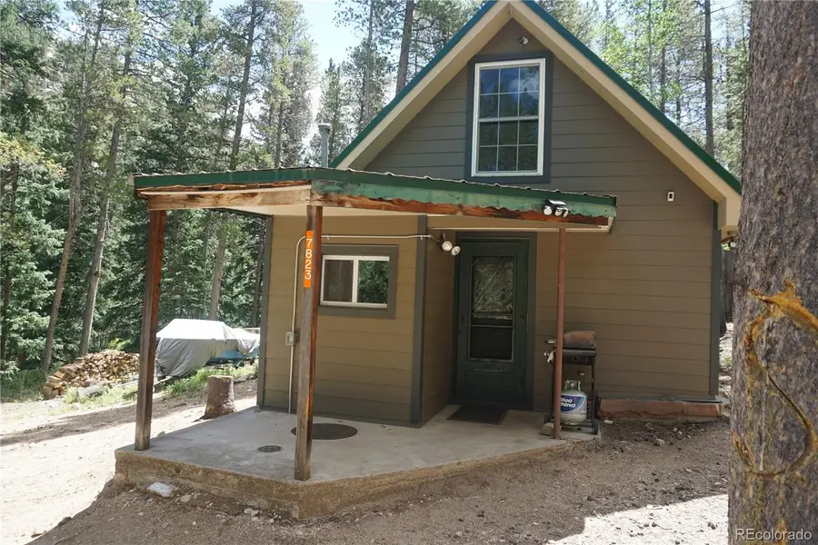 7823 County Road 43, Bailey, CO 80421 - #3