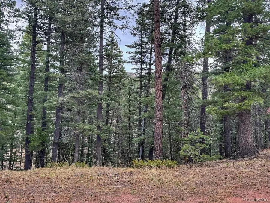 132 Aspen Acres, Rye, CO 81252 - #3