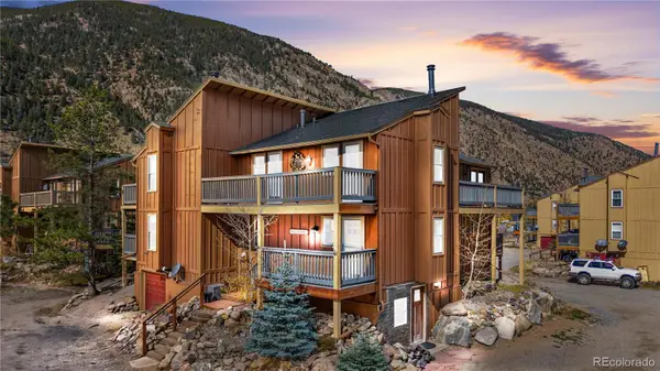 1463 Main Street, Georgetown, CO 80444