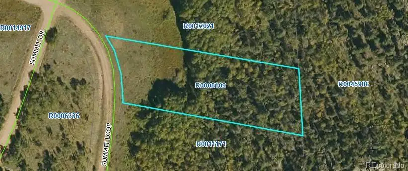 266 Summit Loop, Florissant, CO 80816 - #1