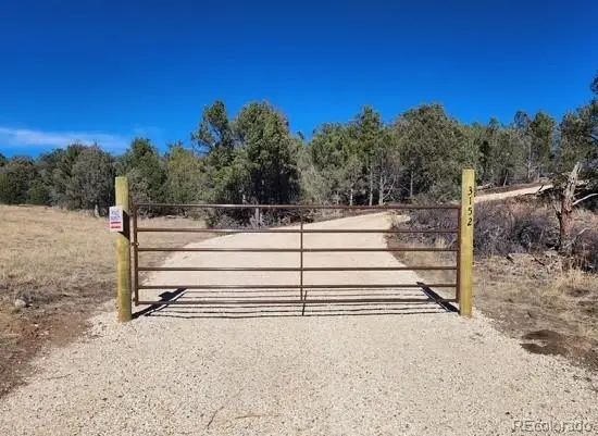 3152 Indian Wells Road, Cotopaxi, CO 81223 - #1