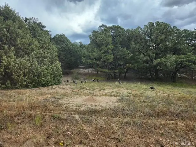 3152 Indian Wells Road, Cotopaxi, CO 81223 - #3