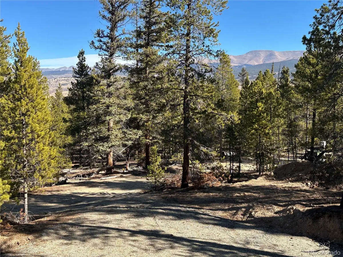 48 Lodgepole Drive, Leadville, CO 80461 - Image #1