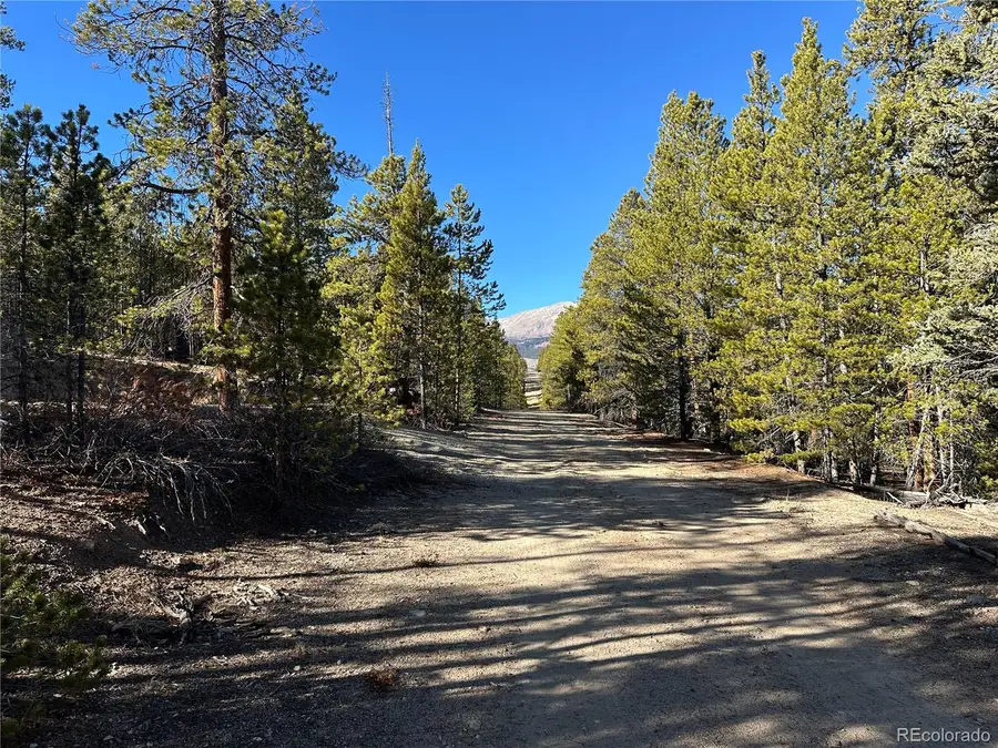 48 Lodgepole Drive, Leadville, CO 80461 - Image #3