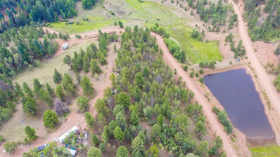 229 Vivenda Road, Cripple Creek, CO 80813 - #3