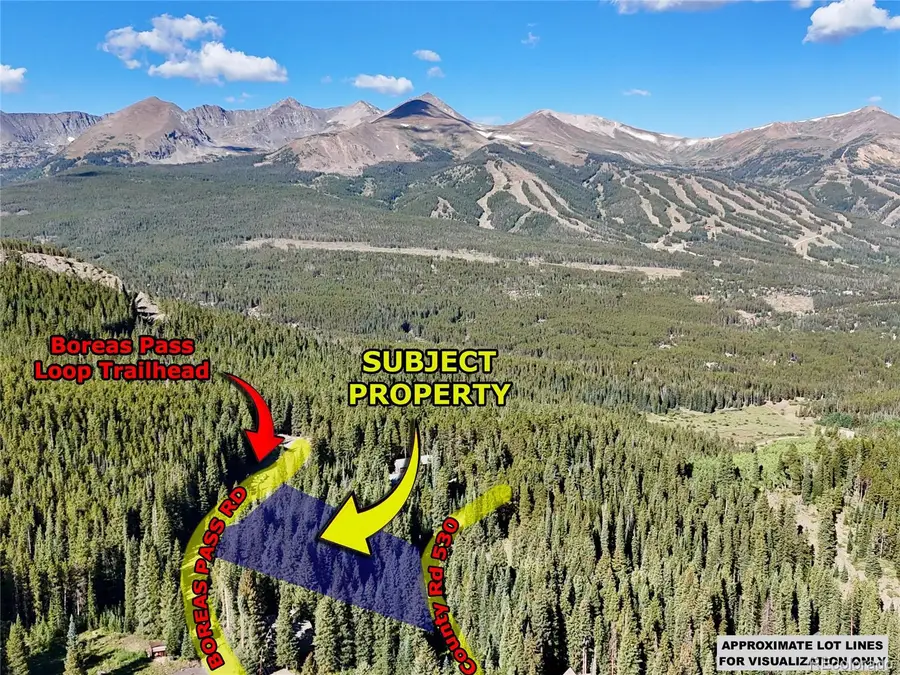 3362 Boreas Pass Road, Breckenridge, CO 80424 - #3