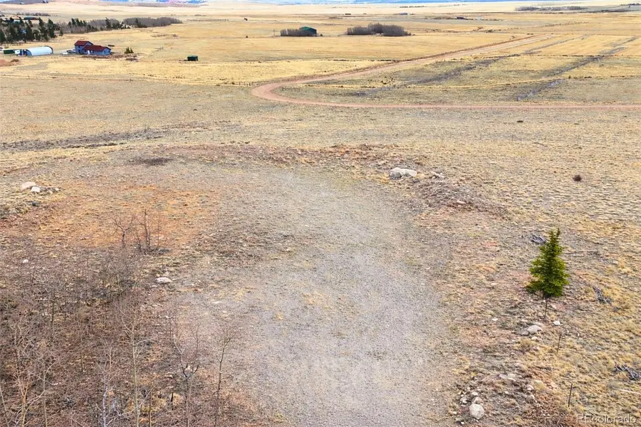 330 Green Bottle Circle, Fairplay, CO 80440 - #3