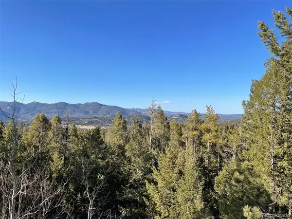 33131 Lynx Lane, Evergreen, CO 80439