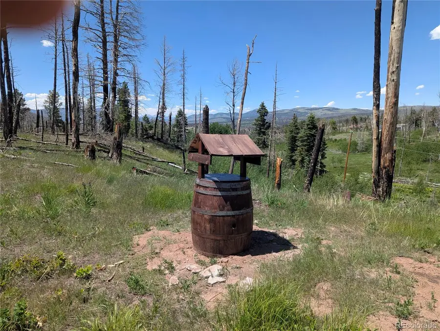 954 Forbes Park Road, Fort Garland, CO 81133 - #2