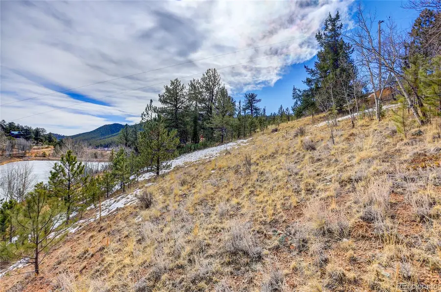 147 Ward Street, Bailey, CO 80421 - #3